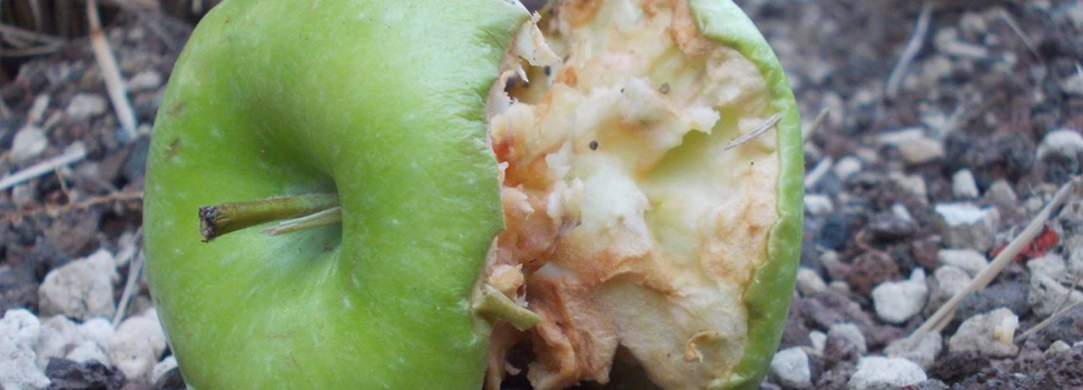 header-poezie-gedicht-kroos